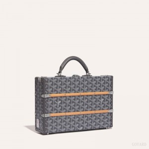 Bolsa de Mano Goyard PALACE MM TRUNK BAG Gris | GY-BYS6352