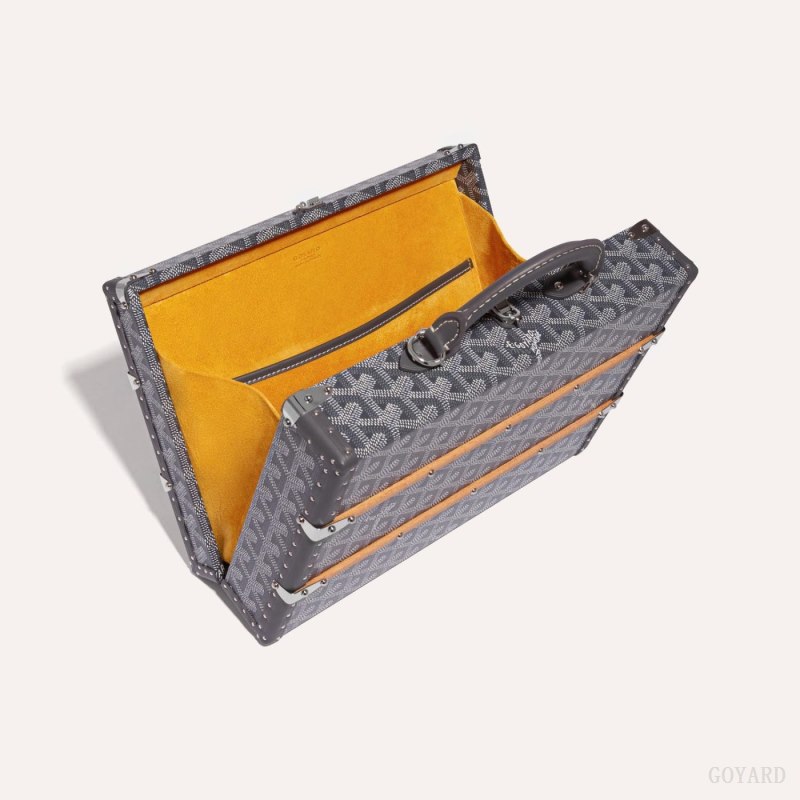 Bolsa de Mano Goyard PALACE MM TRUNK BAG Gris | GY-BYS6352