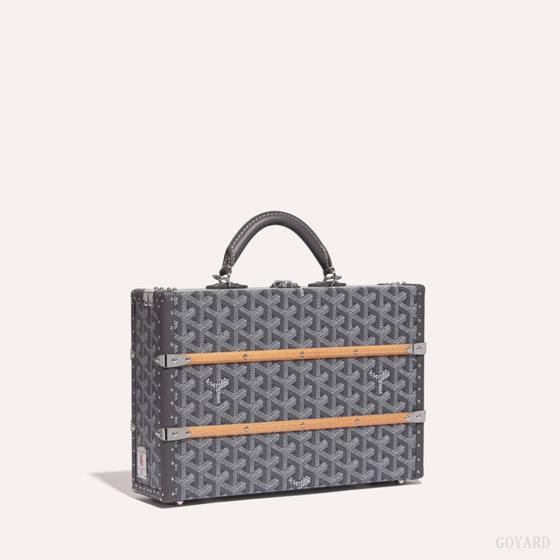 Bolsa de Mano Goyard PALACE MM TRUNK BAG Gris | GY-BYS6352