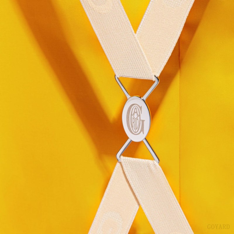 Maleta Goyard BOURGET PM TROLLEY CASE Naranjas | GY-YIN7324