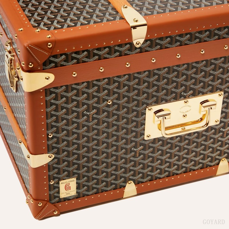 Maleta Goyard CABINE TRUNK Negras Marrones | GY-EYW2737