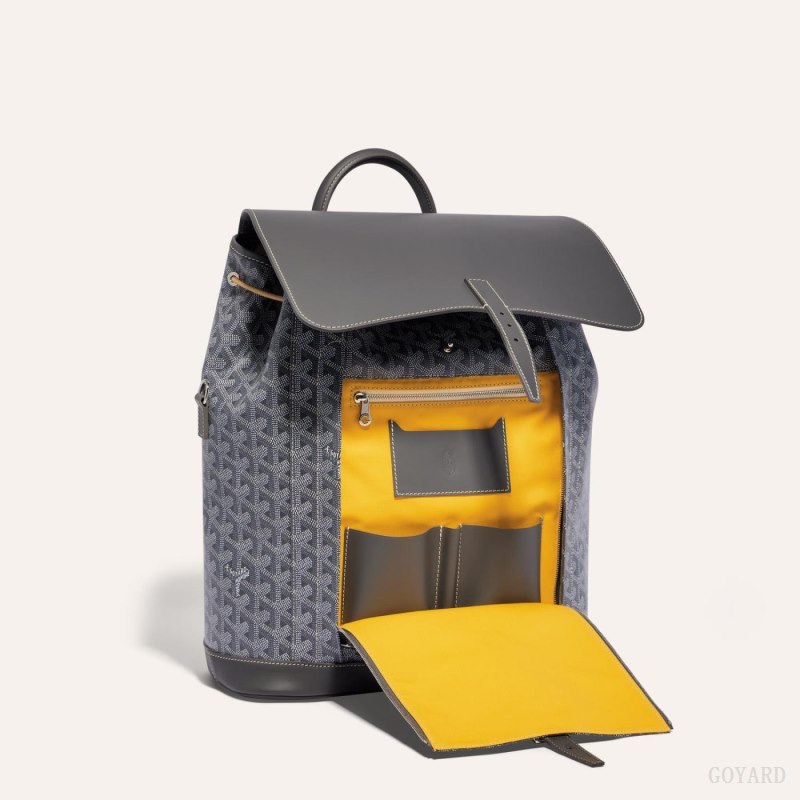 Mochilas Goyard ALPIN MM BACKPACK Gris | GY-SGN6459